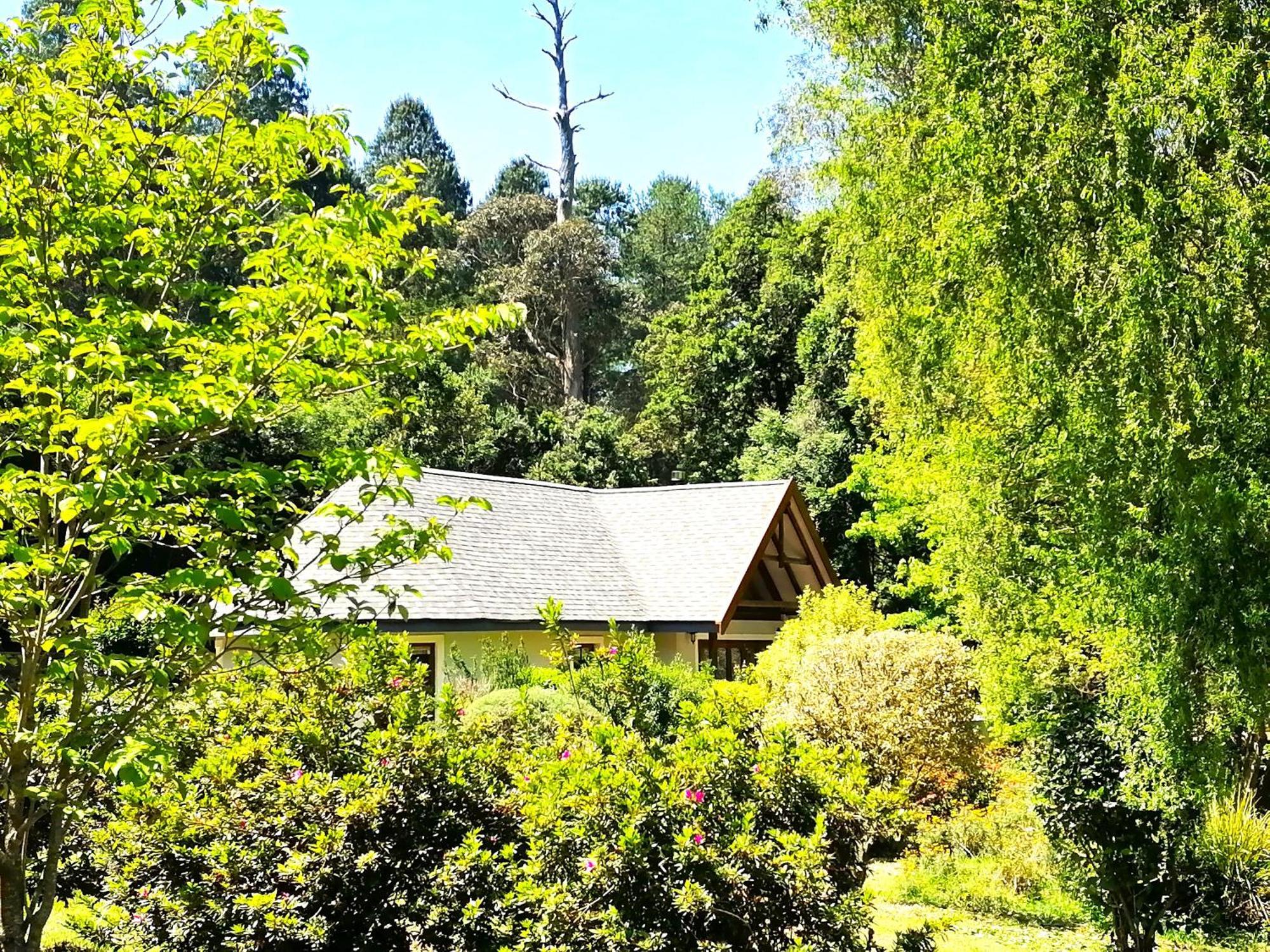 Hogsback Arminel Hotel Exterior foto